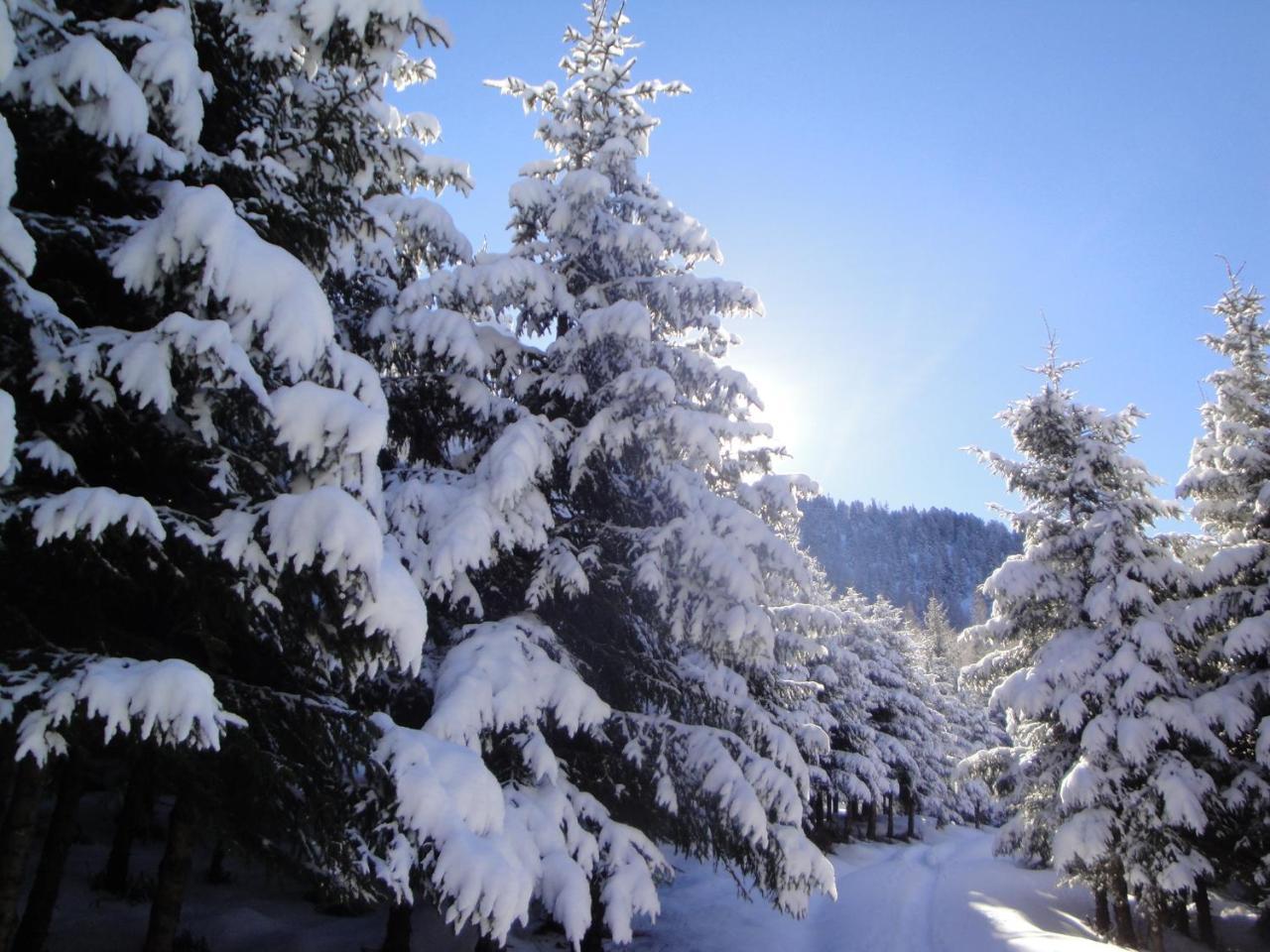 Hotel Eckartauerhof Mayrhofen Bagian luar foto