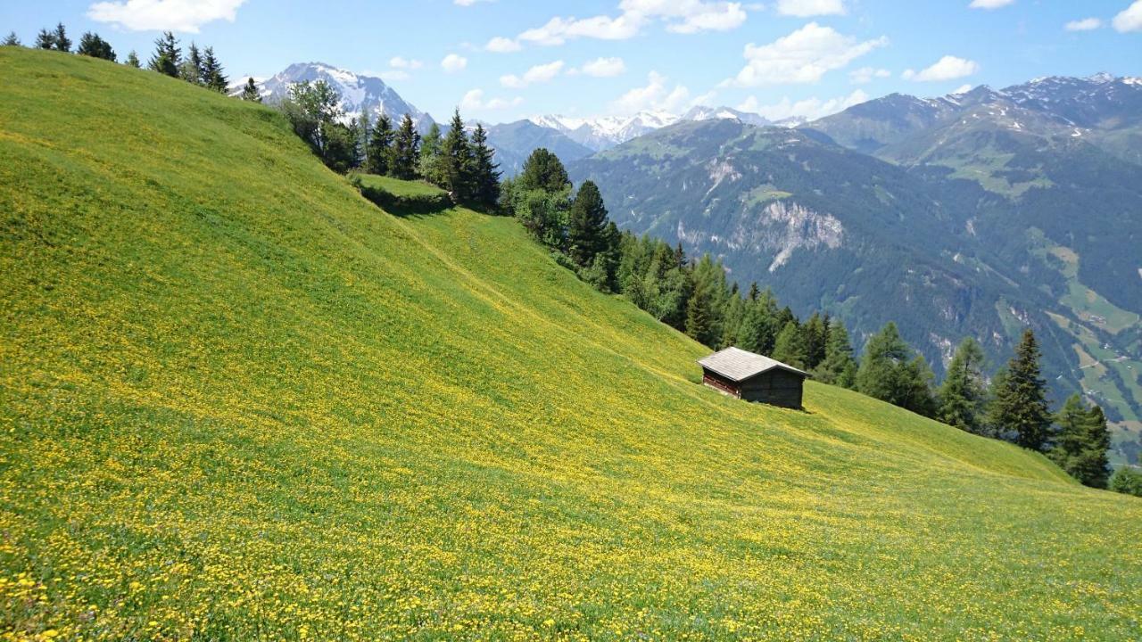 Hotel Eckartauerhof Mayrhofen Bagian luar foto